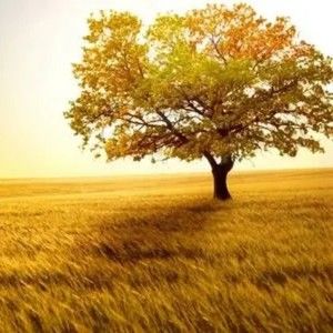 Meet your Posher, Annabelle